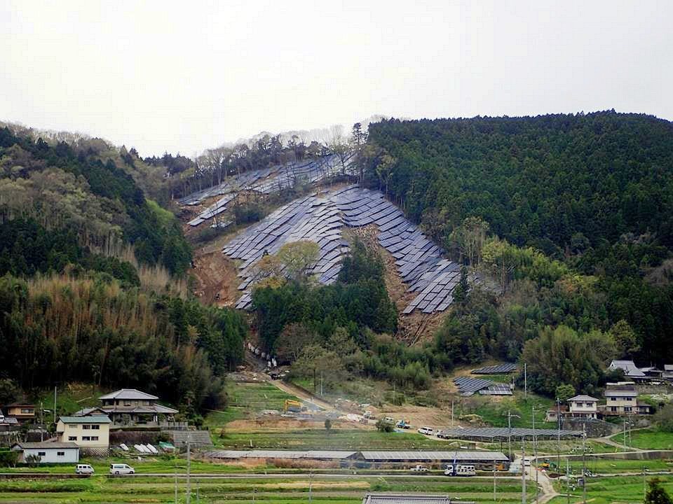  797.jpg