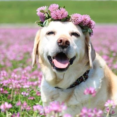 JPG 480x480 37.9kb