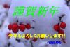 JPG 500x333 64.9kb