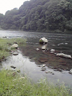 JPG 240x320 22.2kb