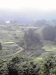 JPG 240x320 24.3kb