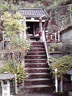 JPG 240x320 24.2kb