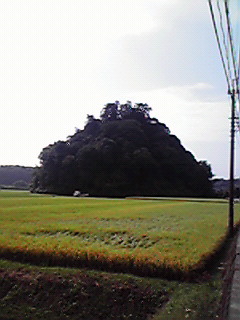 JPG 240x320 25.3kb