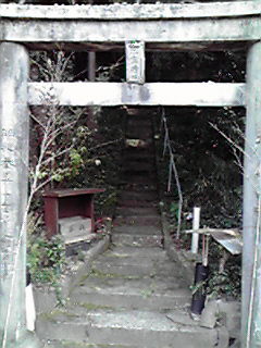 JPG 240x320 23.9kb