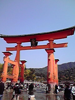 JPG 240x320 22.5kb