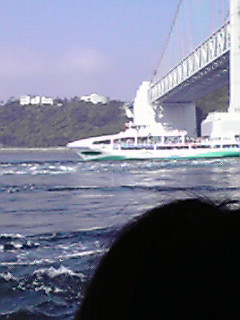 JPG 240x320 23.7kb
