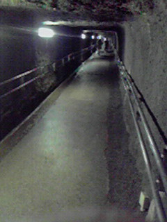 JPG 240x320 22.3kb