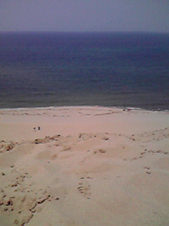 JPG 240x320 28.4kb