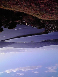 JPG 240x320 23.0kb