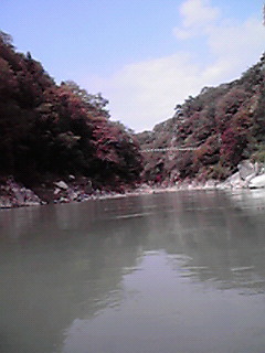 JPG 240x320 23.8kb