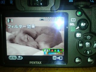 JPG 1024x768 208.7kb