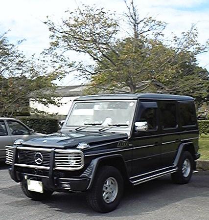 JPG 427x450 60.7kb