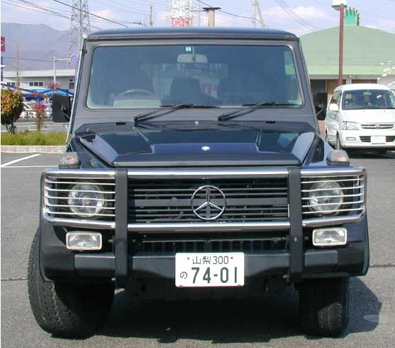  376.jpg