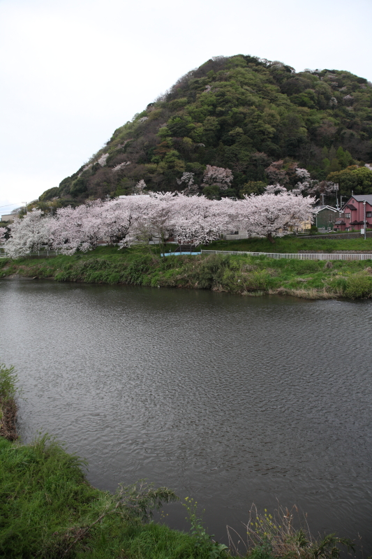 JPG 533x800 431.0kb