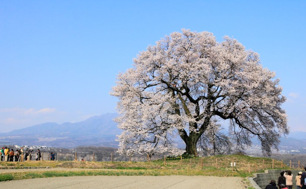 JPG 1024x620 240.3kb