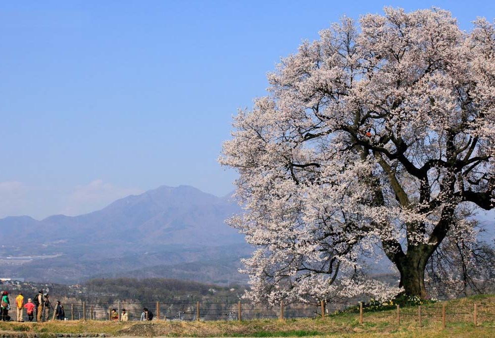 JPG 1024x683 173.9kb