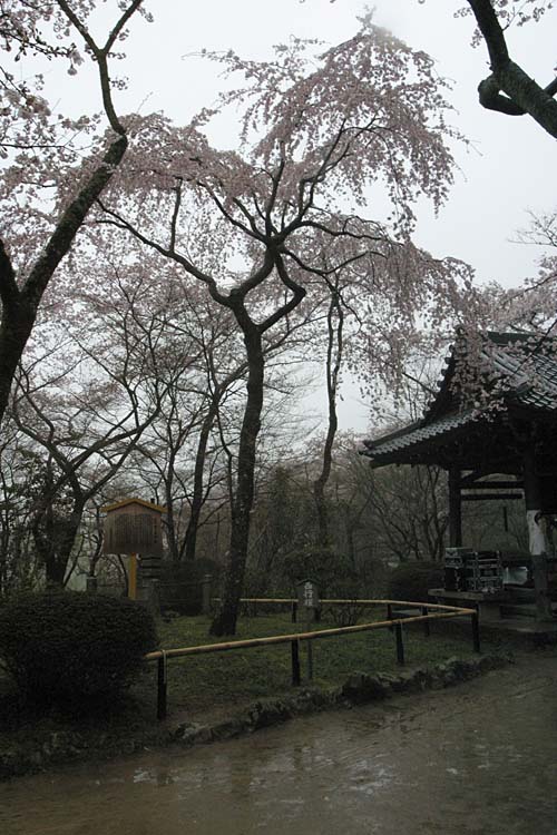 JPG 500x750 96.7kb