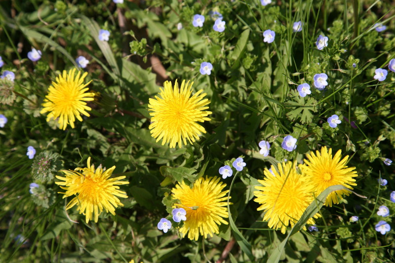 JPG 800x533 189.9kb