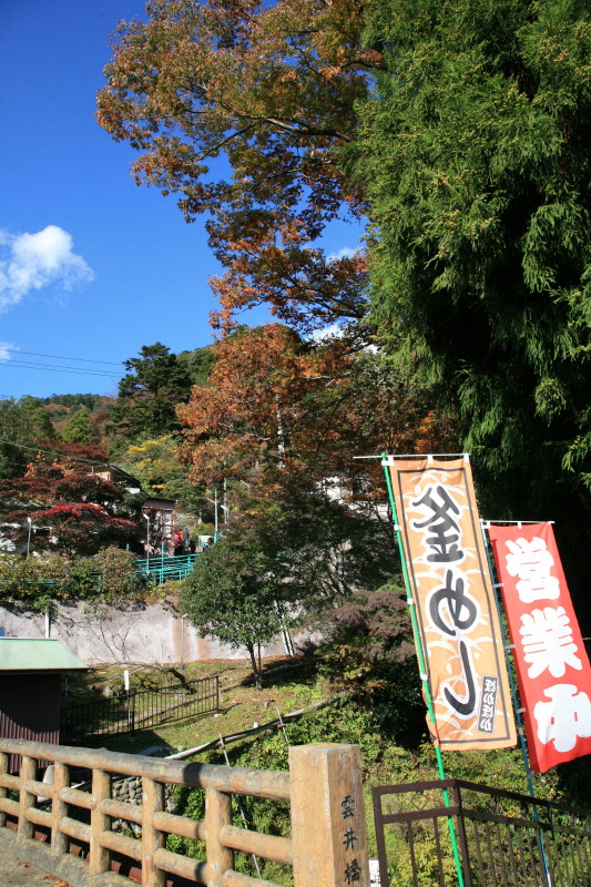 JPG 533x800 238.8kb