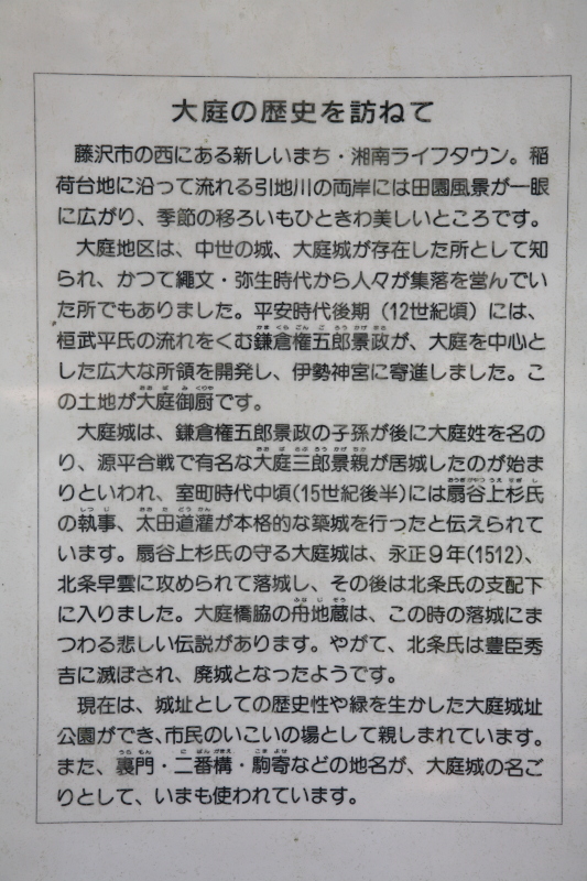 JPG 533x800 304.8kb