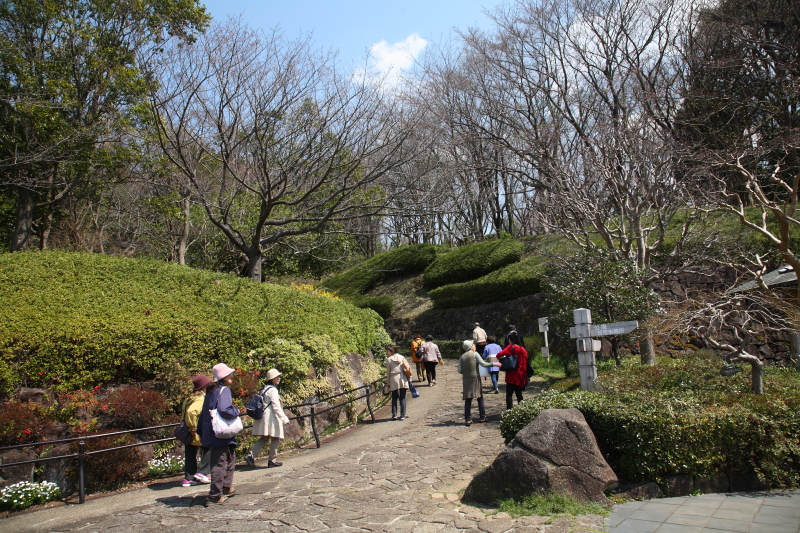 JPG 800x533 499.9kb