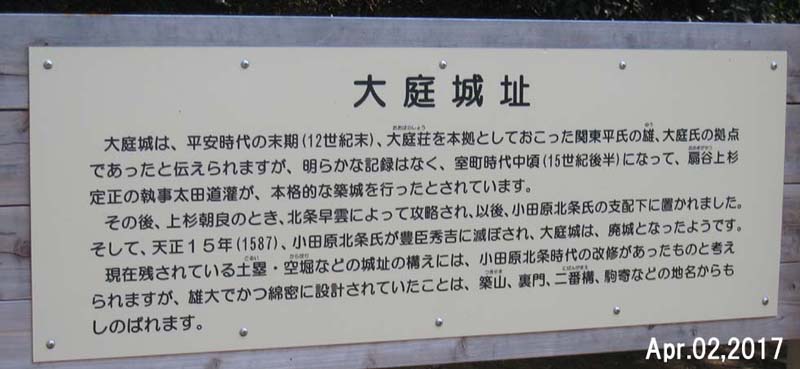 JPG 800x369 61.9kb
