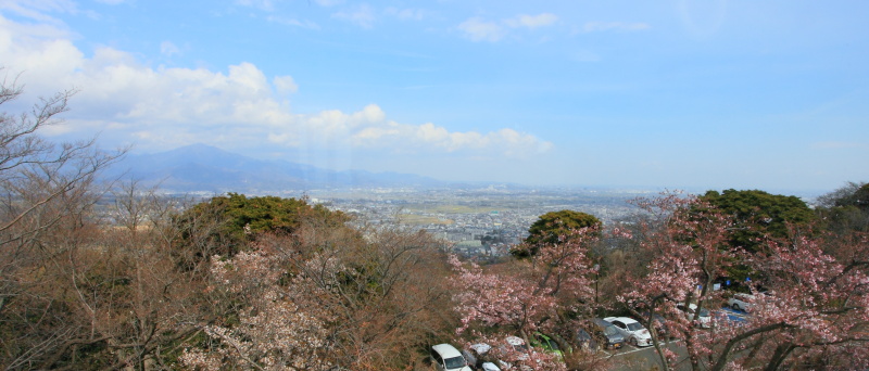 JPG 800x342 135.9kb