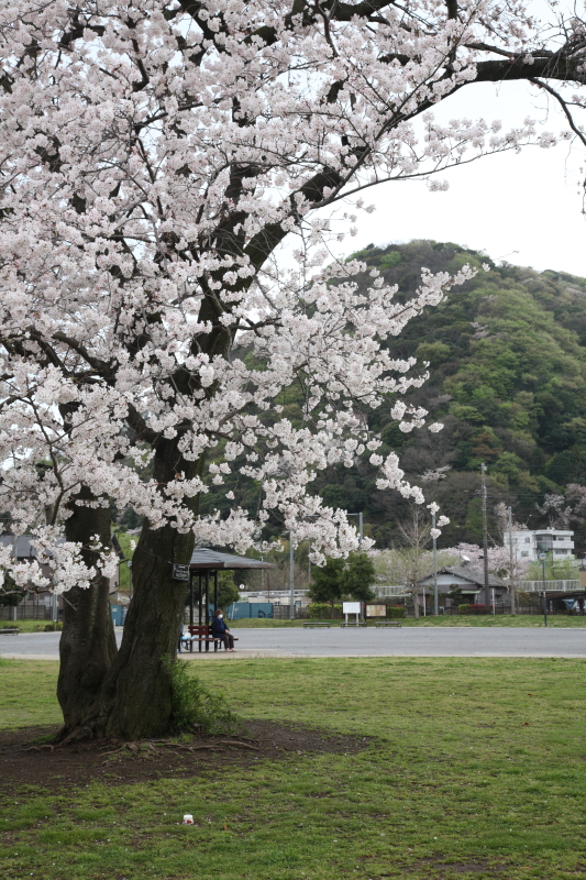 JPG 533x800 585.4kb