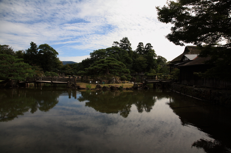 JPG 800x533 250.1kb