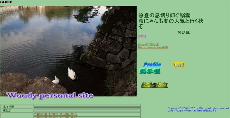 JPG 800x412 56.5kb