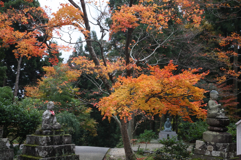 JPG 800x533 478.3kb