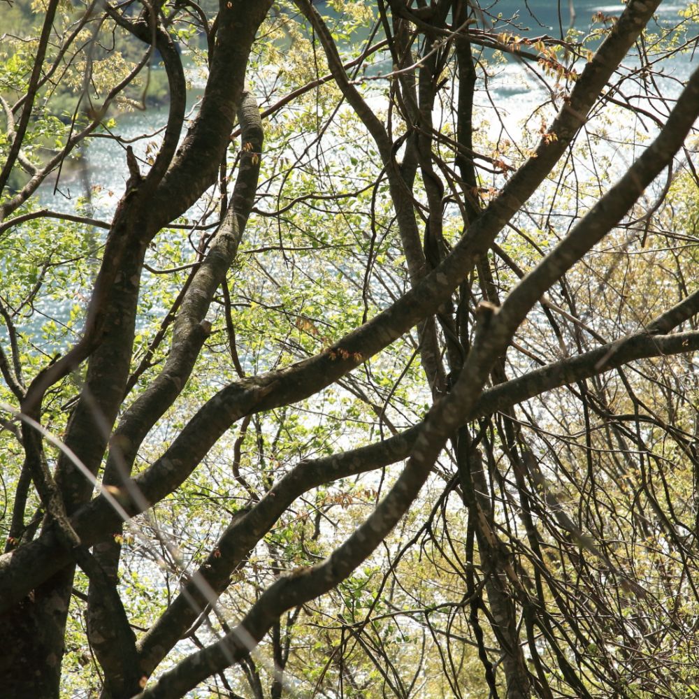 JPG 1600x1067 1624.3kb