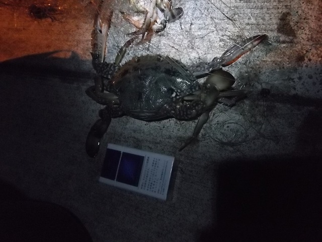  29.jpg