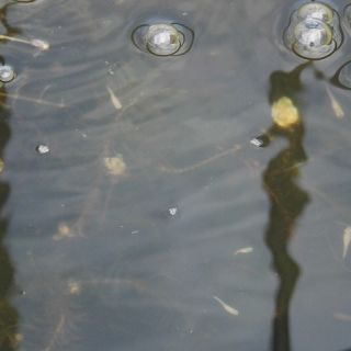 JPG 640x480 58.7kb