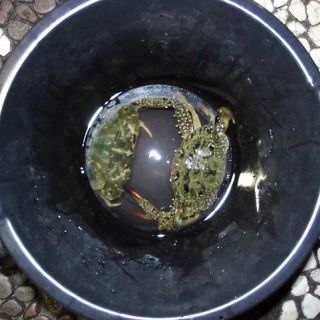 JPG 640x480 103.3kb