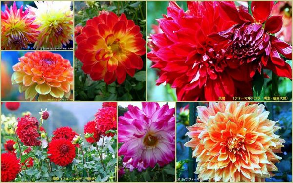 JPG 1000x625 194.0kb