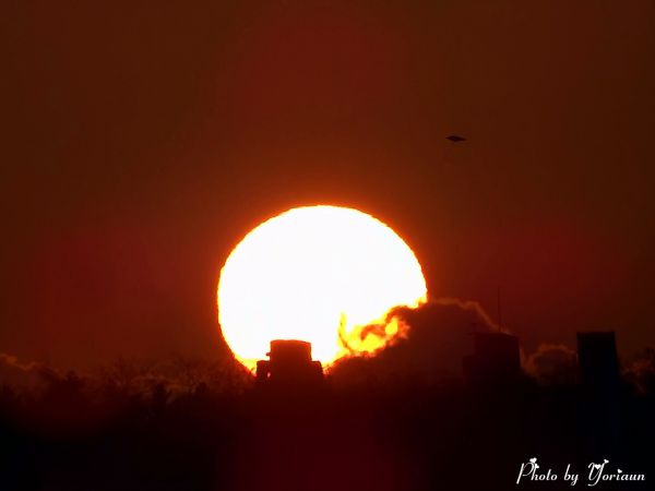 JPG 1600x1200 533.4kb