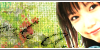 PNG 175x50 21.9kb